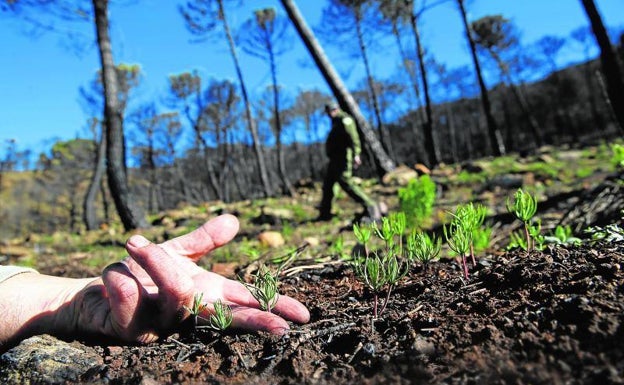 Un año después, Sierra Bermeja recuerda a Carlos Martínez Haro