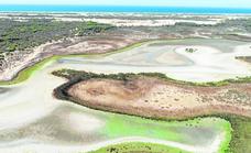 La situación hídrica de Doñana se agrava con el secado de sus aguas en superficie
