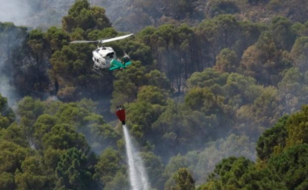 Declarado un incendio forestal en Coín