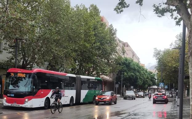IU denuncia el estado y el tráfico excesivo de la Avenida de Andalucía de Estepona