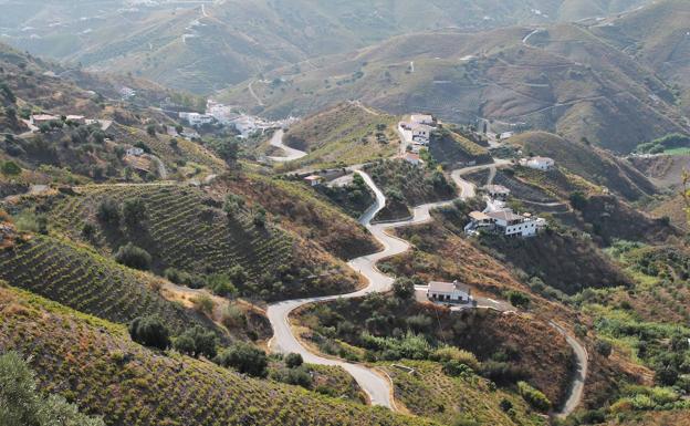 El Borge, la 'delicatessen' de la Axarquía, muestra sus virtudes