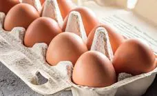 Alerta sanitaria por la presencia de salmonela en huevo entero líquido pasteurizado