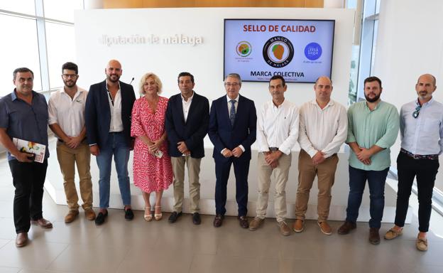 Impulsan la marca 'Mango de Málaga' para distinguir la calidad de la fruta cultivada en la Axarquía