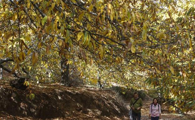 Aemet prevé que Andalucía tenga un otoño más cálido y más seco de lo normal