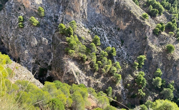 Ecologistas denuncian la invasión del río Almanchares en Canillas de Aceituno para una plantación de subtropicales