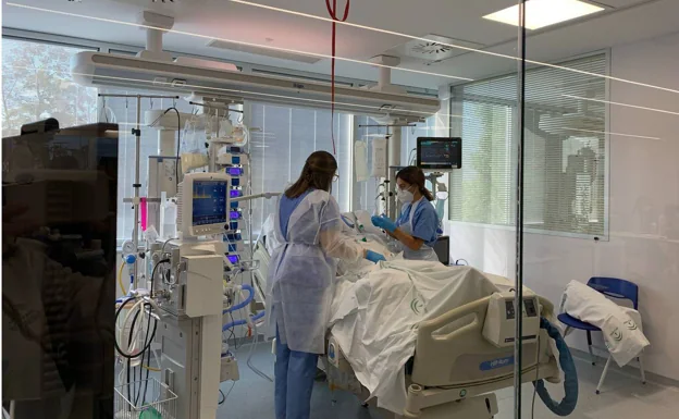 En las unidades de cuidados intensivos de Málaga solo hay un paciente con Covid