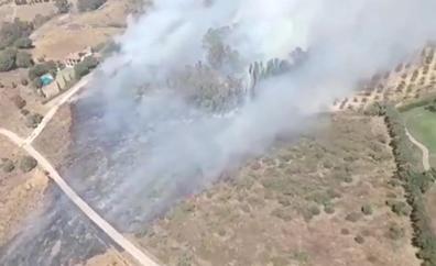 El amplio despliegue del Infoca consigue controlar el incendio forestal declarado en Mijas
