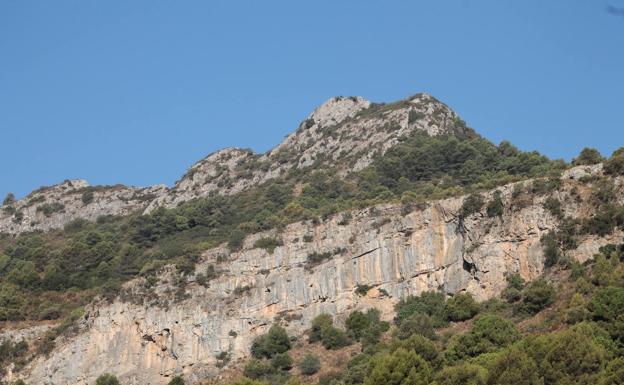 Sendero del Tajo del Quejigal