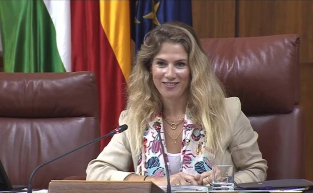 Ana Mestre reclama a los diputados de Vox que la llamen 'presidenta' y no 'presidente'
