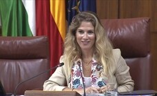 Ana Mestre reclama a los diputados de Vox que la llamen 'presidenta' y no 'presidente'
