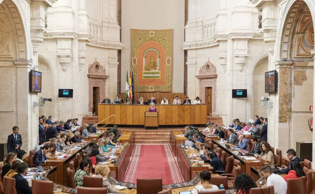 Imagen del último Pleno del Parlamento.