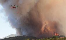 Más de 2,2 millones de euros para las obras de emergencia en el área forestal afectada por el incendio de Mijas