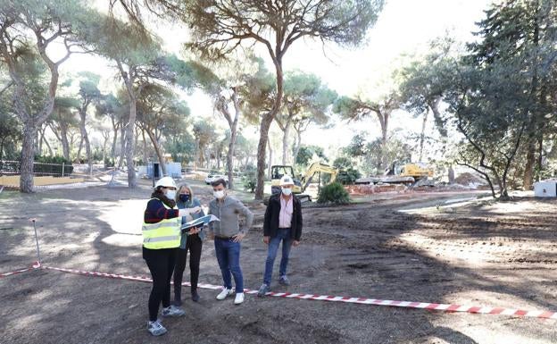 El concejal de Obras defiende que los trabajos de Vigil de Quiñones no afectarán a los pinos