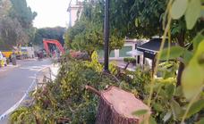 IU tilda de «ecopostureo» la gestión de la masa verde por parte del Ayuntamiento de Marbella