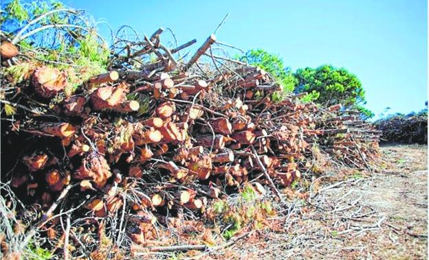 Calderas de biomasa para la Sierra de las Nieves