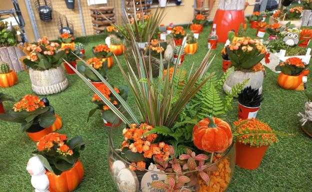 Plantas y decoración para Halloween en el vivero municipal de Torremolinos