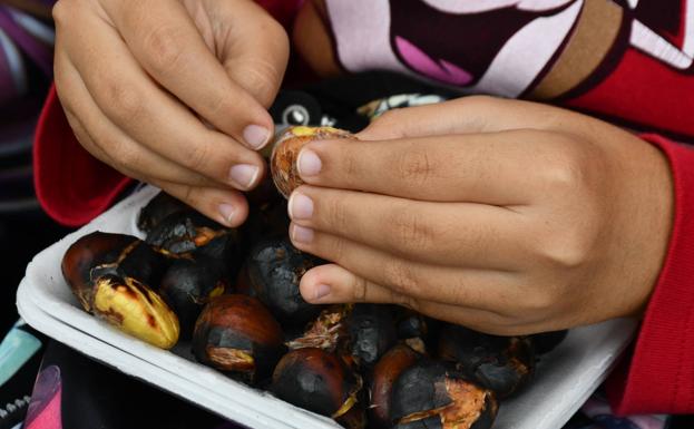 Pujerra recupera su Fiesta de la Castaña