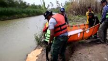 Rescatan a dos delfines rosados en la amazonia boliviana