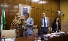 Carolina España resta importancia al desmembramiento de TRADE y asegura que se ha puesto orden