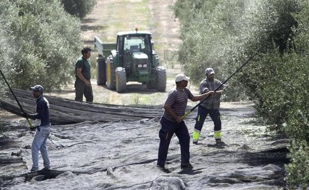 Récord de exportaciones agro andaluzas con 9.833 millones en ocho meses