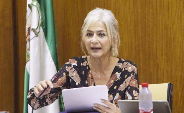 La Junta de Andalucía reconoce que faltan «algunos docentes» en institutos públicos que imparten clase en grados superiores