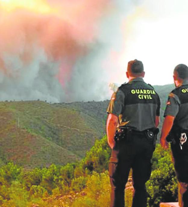 Andalucía registra menos incendios, pero crecen sus efectos y dimensiones