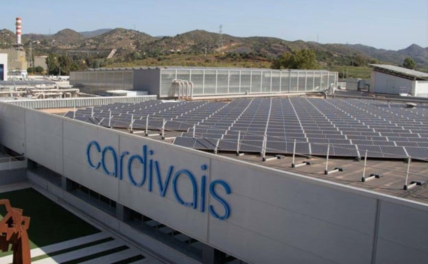 La fábrica de material médico de Málaga logra un 40% de autoconsumo con paneles solares