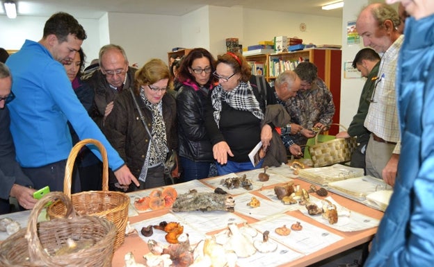 Recolección de setas, charlas y ruta de la tapa en la XII edición de las Jornadas Micológicas de Monda