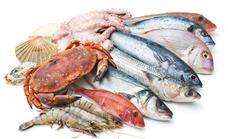 Estos son los pescados más seguros para el consumo humano por sus bajos niveles de mercurio