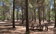 Nerja adjudica la renovación del área recreativa de El Pinarillo
