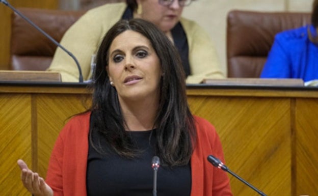 El PSOE monta en cólera por el veto en el Parlamento a una pregunta sobre Marbella