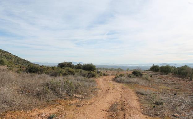 Ruta senderista: Sendero de Los Llanos de la Roda