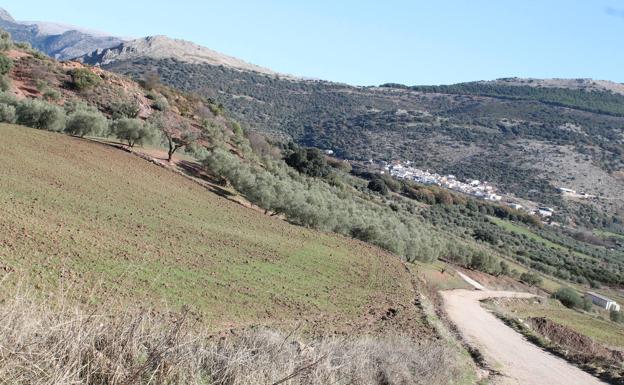 Sendero de la Venta de San Juan