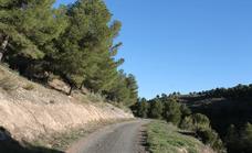 Ruta senderista desde Ardales: Sendero Los Jiménez-Fuente Garzón