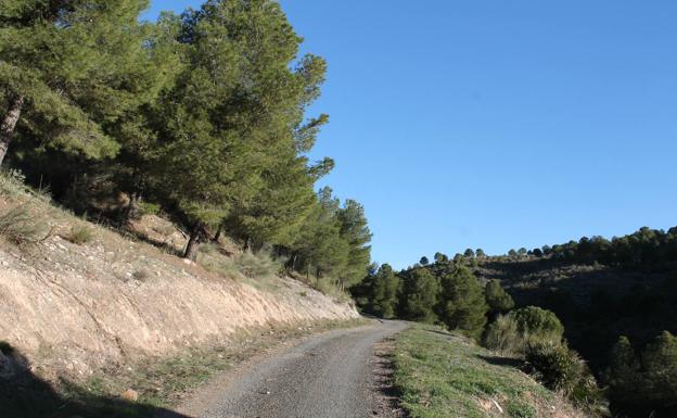 Ruta senderista desde Ardales: Sendero Los Jiménez-Fuente Garzón