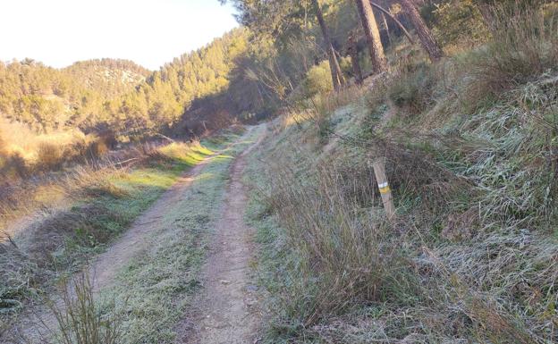 Ruta senderista desde Benamejí (Córdoba): Sendero de las Norias del Genil