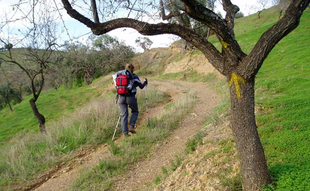 Ruta senderista: Almogía-Villanueva de la Concepción