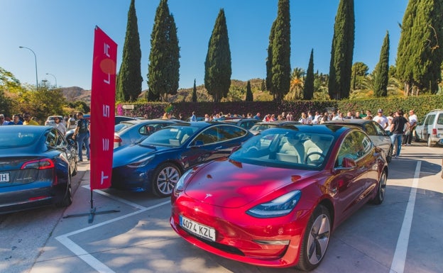 Los amantes de los coches Tesla se citan por primera vez en Málaga