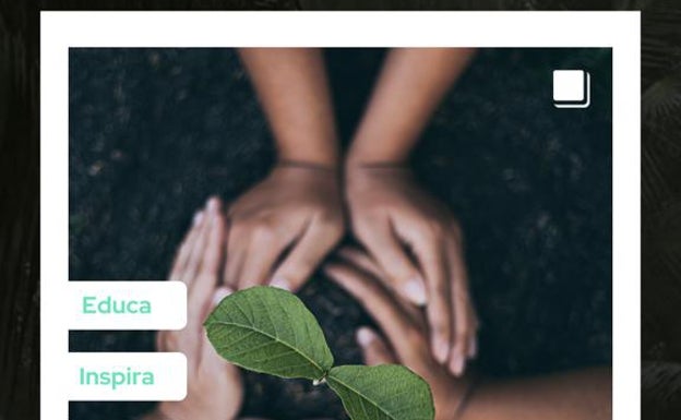 Rincón de la Victoria organiza una gymkana para plantar cien árboles y un circuito de actividades