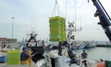 España, sospechosa de liderar la pesca ilegal en el mundo