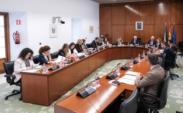 El PSOE registra en el Parlamento dos preguntas sobre Marbella tras el veto del pleno anterior