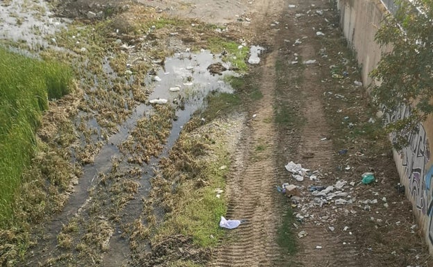 El Río Guadalmedina, la historia que nunca acaba