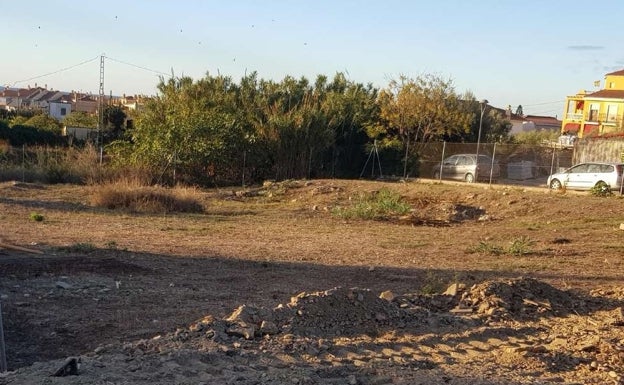 Rincón de la Victoria realizará una reforestación en una parcela de Torre de Benagalbón