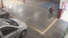 Detenido un hombre que robó a un perro en un párking de supermercado