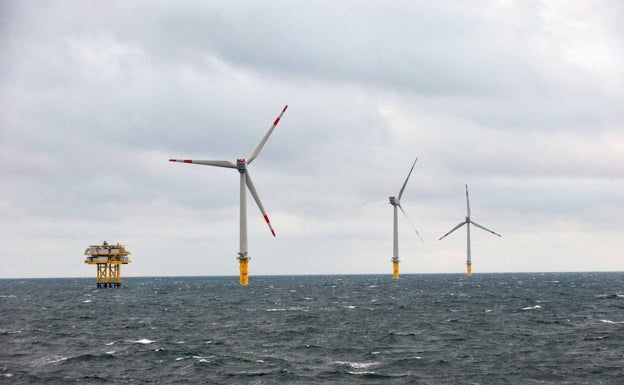 Verdes Equo, Greenpeace y el Aula del Mar respaldan el parque eólico de Málaga por su bajo impacto