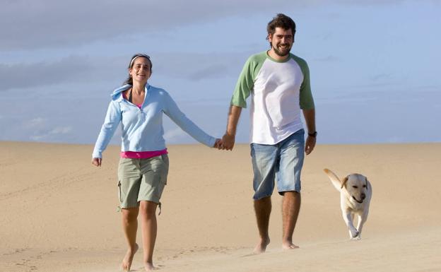 El Poder Judicial alerta de que con la nueva ley puede castigarse más el maltrato a un perro que a la pareja