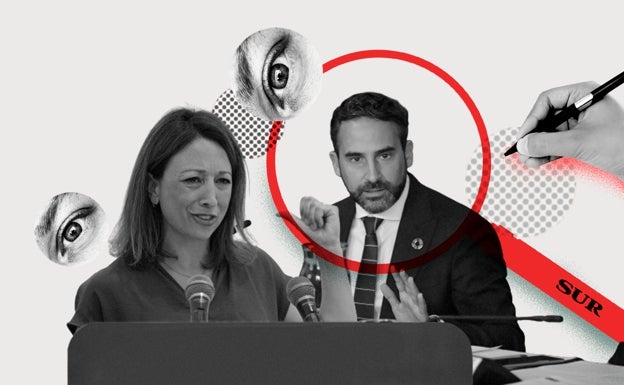 Las críticas a la alcaldesa de Marbella enfrían la cumbre entre Daniel Pérez y Patricia Navarro