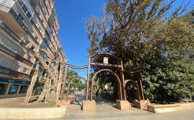 Réquiem por un ficus centenario: colectivos de Vélez-Málaga homenajean a un árbol emblemático fallecido