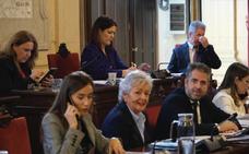 El pleno de Málaga aprueba, con los votos en contra del PP, un plan de ayuda al alquiler para los jóvenes