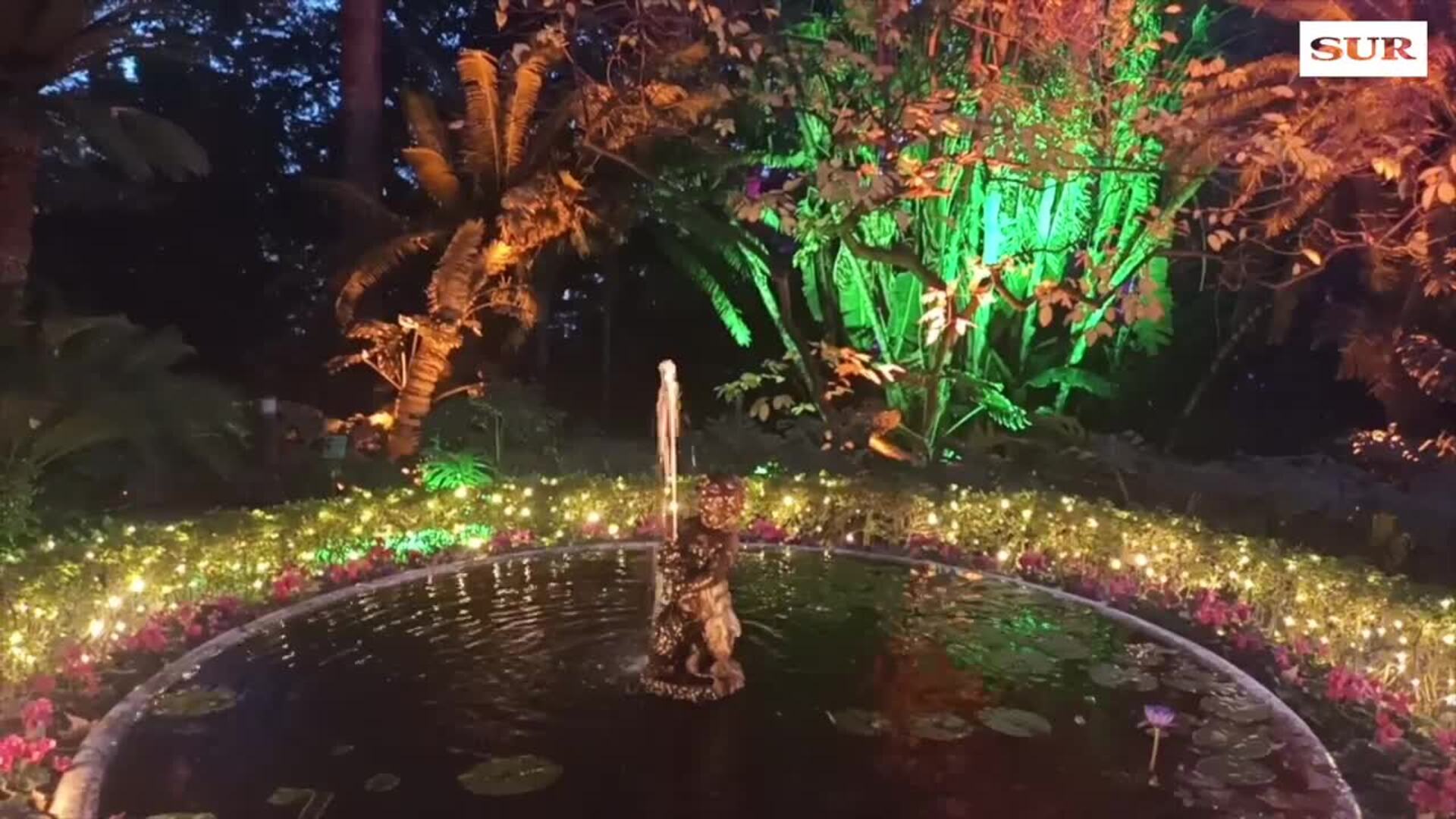 Así es la iluminación de Navidad del jardín botánico La Concepción